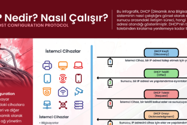 İnfografik Serisi #35 DHCP Nedir? Nasıl Çalışır?
